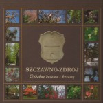 Drzewa i krzewy ozdobne Szczawna-Zdroju, Burmistrz Szczawna-Zdroju, Szczawno-Zdrój 2013