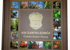 TMSZCZ53[1]-male