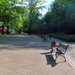 fot. Wioletta Stryjewska. Park Zdrojowy