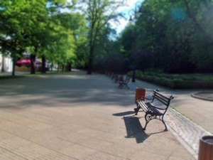 fot. Wioletta Stryjewska. Park Zdrojowy