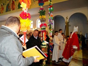 palmy (112)[1]-male