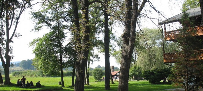 Szczawno-Zdrój – Park Szwedzki, Dworzysko