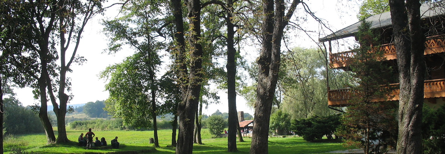 Szczawno-Zdrój – Park Szwedzki, Dworzysko