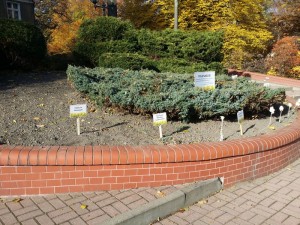 min_20151026_132328