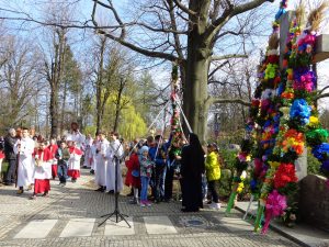 2017-04-09 Palmy (7)