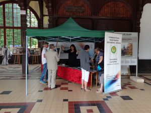 2017-06-06 Dni Szczawna (3)