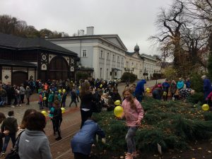IMG_1806