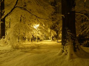 1. Krystyna Okoniewska - Park Zdrojowy zimą 2016