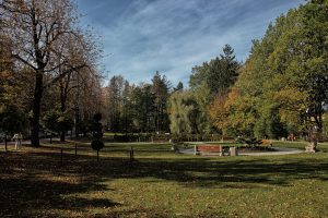 3. Piotr Miciuk - Jeszcze lato a już jesień-plac przy kortach tenisowych 2013