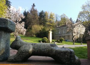 4. Iwona Czech - Magnolie w Parku Zdrojowym 2016