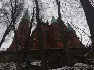 IMG_2029