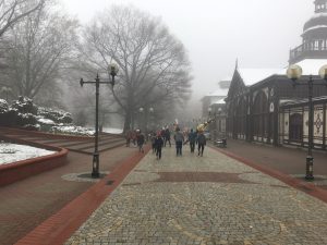 IMG_0341