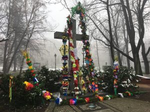 IMG_0366