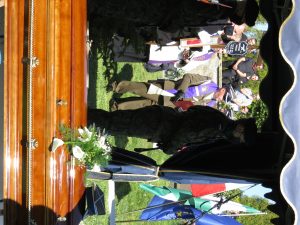 IMG_0106