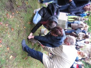 IMG_0017 (1)