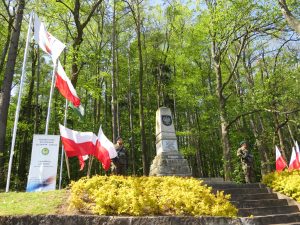 IMG_0001 (3)